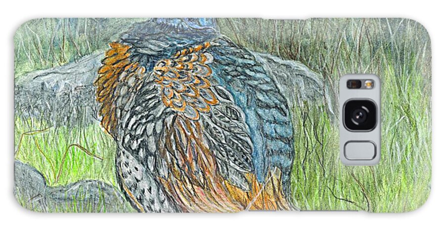 Drawing Galaxy Case featuring the drawing Pheasant Common Male by Carol Wisniewski