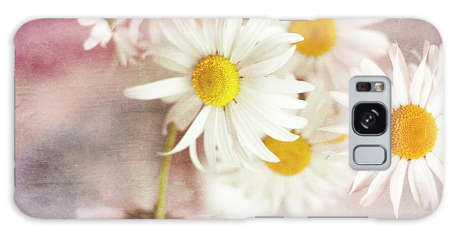 Daisies Galaxy Case featuring the photograph Picking Daisies by Sylvia Cook