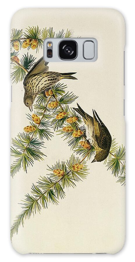 Illustration Galaxy Case featuring the photograph Pine Siskin by Natural History Museum, London/science Photo Library