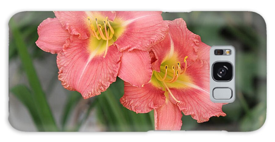 Pink Galaxy Case featuring the photograph Pink Asiatic Lily by Allan Levin