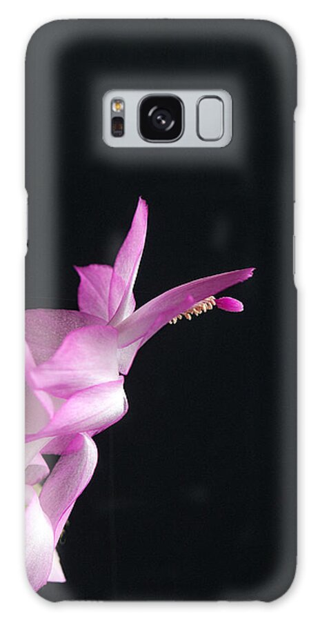 Schlumbergera Galaxy Case featuring the photograph Pink Christmas Cactus by Winston D Munnings