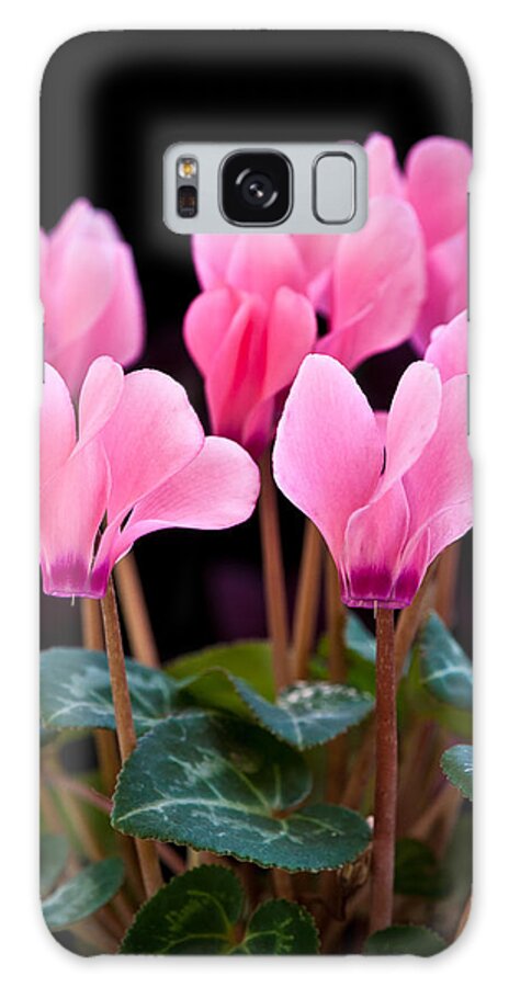 Black Galaxy Case featuring the photograph Pink Cyclamen by Mark Llewellyn