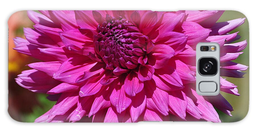 Pink Dahlia Galaxy S8 Case featuring the photograph Pink Dahlia by Frank Larkin