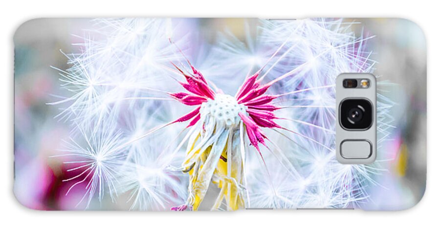 Dandelion Galaxy S8 Case featuring the photograph Magic in Pink by Parker Cunningham