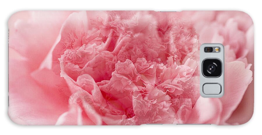 Carnation Galaxy Case featuring the photograph Pink dream by Marina Kojukhova