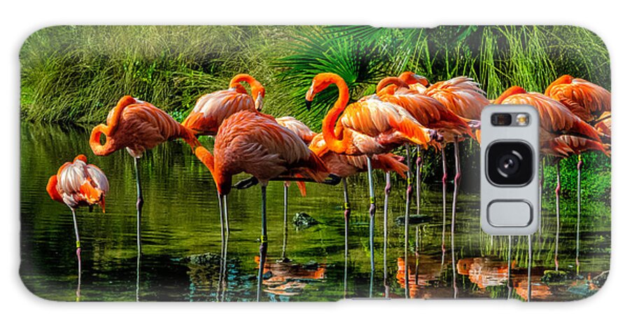 Nature Galaxy Case featuring the photograph Pink Flamingos by Louis Dallara