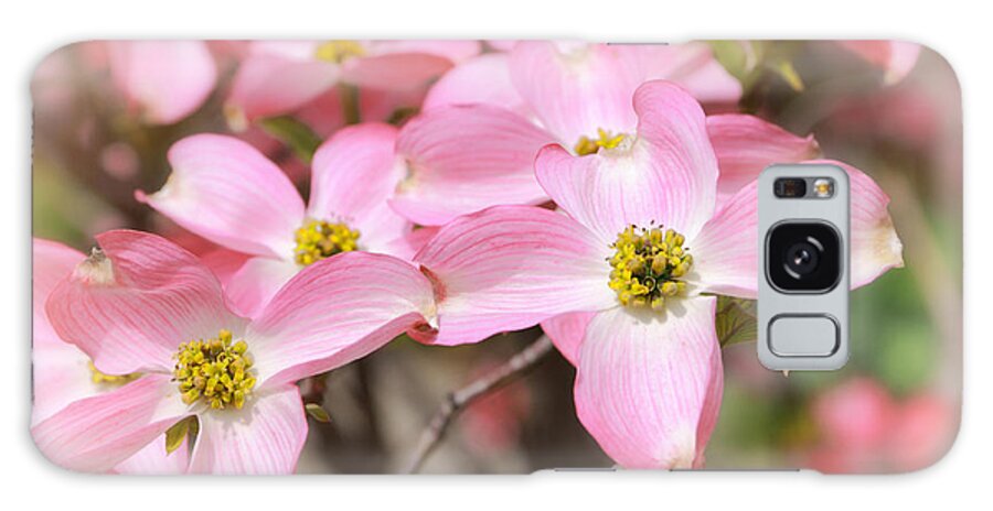 Dogwood Galaxy Case featuring the photograph Pink Flowering Dogwood by Charline Xia