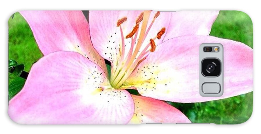 Macrostylesgf Galaxy Case featuring the photograph Pink Lily From My Summer Garden by Anna Porter