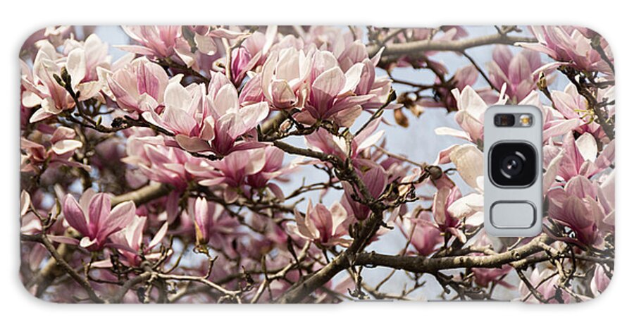 Pink Galaxy Case featuring the photograph Pink Magnolia by Penny Lisowski