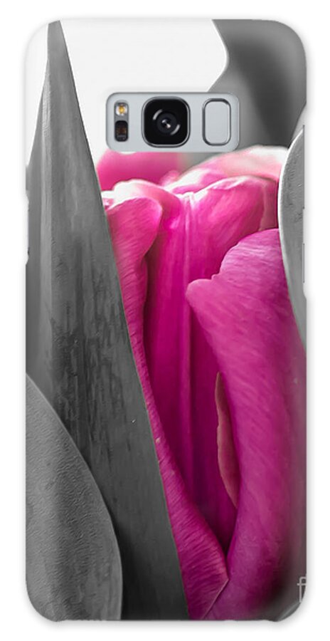 Tulip Galaxy S8 Case featuring the photograph Pink Passion by Bianca Nadeau