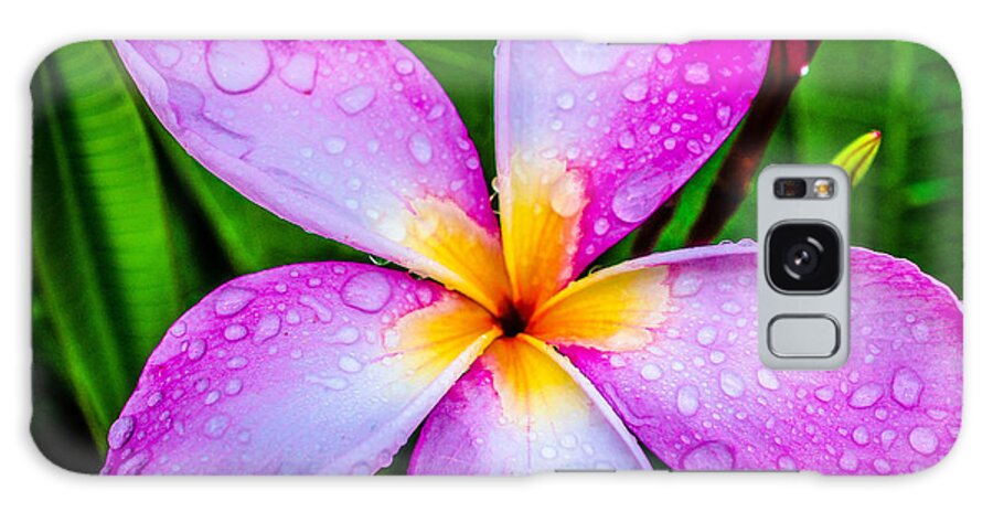 Pink Plumeria Galaxy Case featuring the photograph Pink Plumeria by TK Goforth