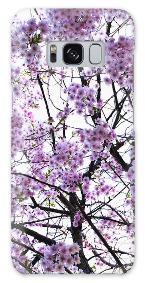 Nature Galaxy Case featuring the photograph Pink Tree Blossom by Joseph Hedaya
