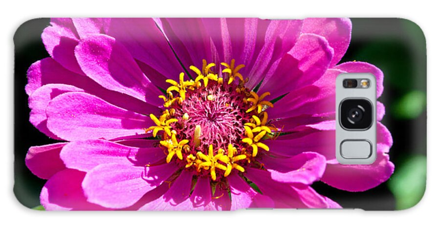 Zinnia Galaxy Case featuring the photograph Pink Zinnia by Tikvah's Hope