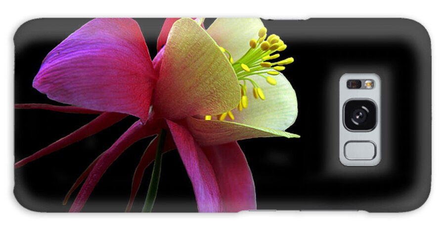Rose Galaxy Case featuring the photograph Pinkish by Doug Norkum