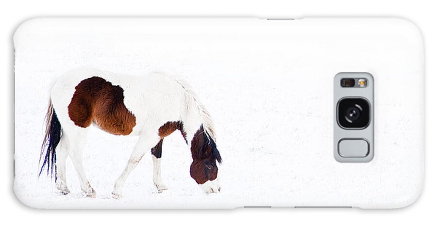 Small Horse Galaxy S8 Case featuring the photograph Pinto Pony by Theresa Tahara
