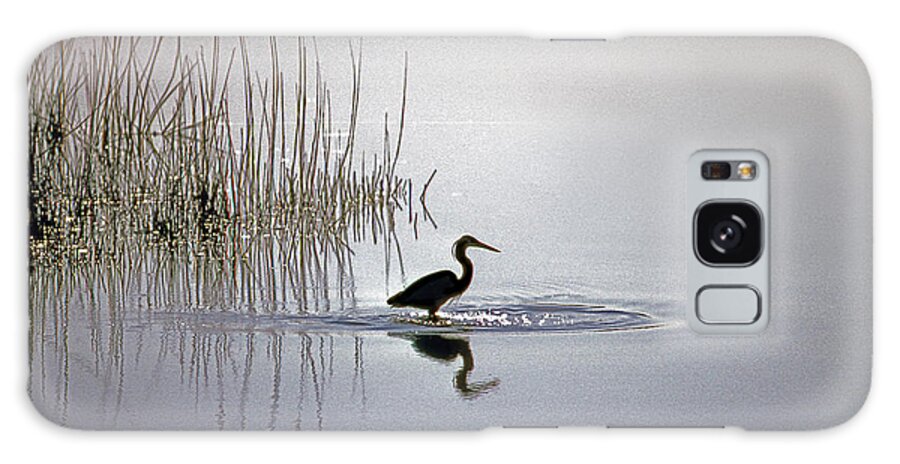 Names Of Birds Galaxy Case featuring the photograph Platinum Heron by Skip Willits