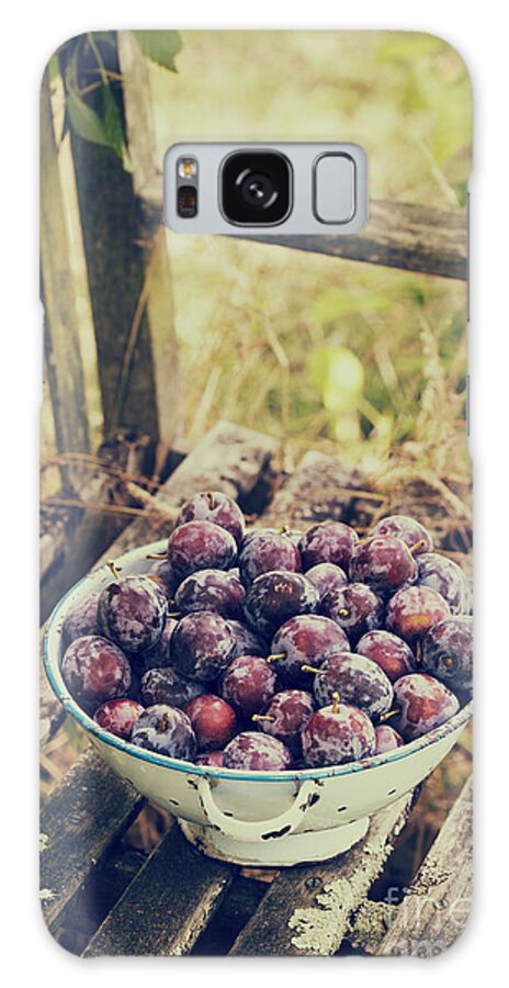 Prunus Domestica Galaxy Case featuring the photograph Plums by Tim Gainey