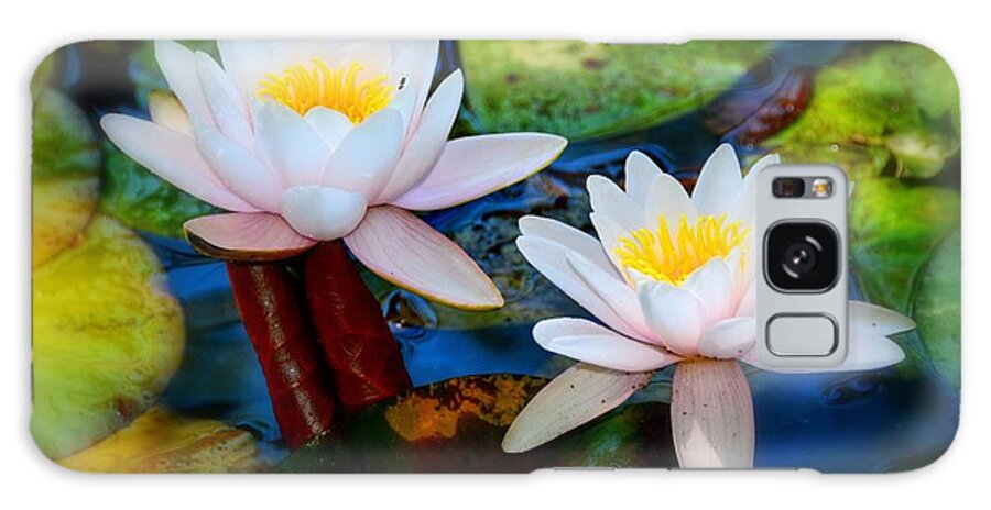 Pond Lily Galaxy Case featuring the photograph Pond Lily by Patrick Witz