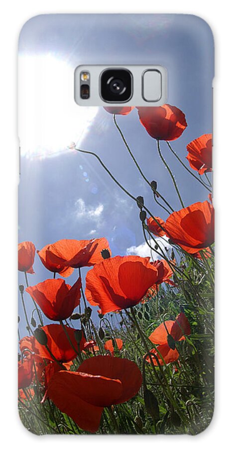 Poppies Galaxy Case featuring the photograph Poppies to the sun by Erik Tanghe