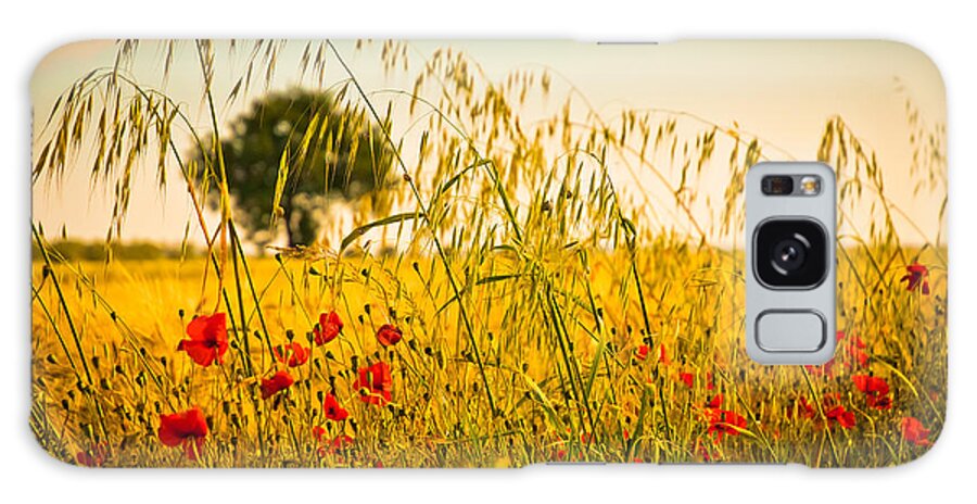 Field Galaxy Case featuring the photograph Poppies with tree in the distance by Silvia Ganora