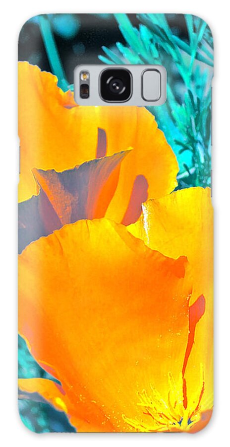 Poppies Galaxy Case featuring the photograph Poppy 4 by Pamela Cooper