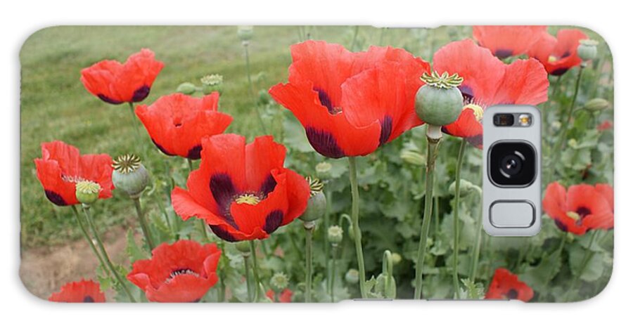 Close Galaxy Case featuring the photograph Poppy by Bill TALICH