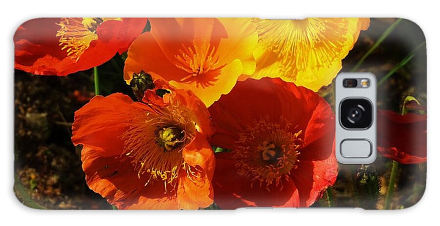 California Poppies Galaxy Case featuring the photograph Poppy Bouquet by Helen Carson