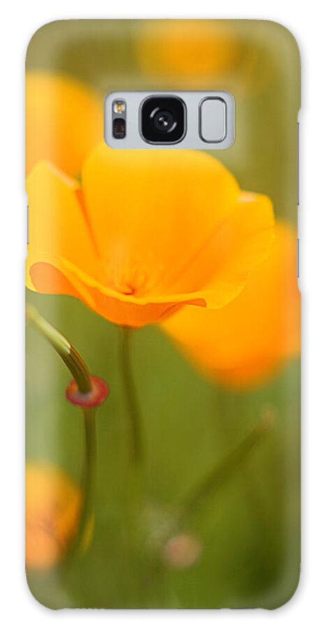 Floral Galaxy S8 Case featuring the photograph Poppy II by Ronda Kimbrow