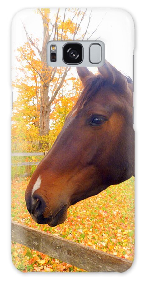 Fall Foliage Galaxy S8 Case featuring the photograph Portrait of A Beauty by Lingfai Leung