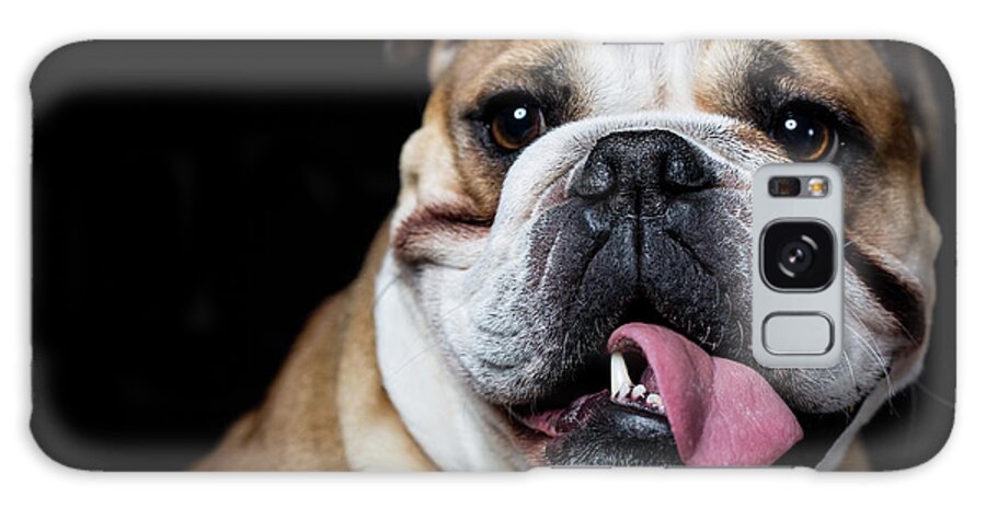 Pets Galaxy Case featuring the photograph Portrait Of An English Bulldog by Alvarez