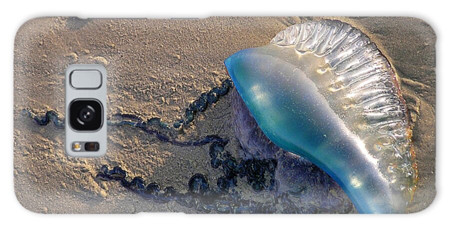 Jelly Galaxy Case featuring the photograph Portuguese Man o' War by Adam Johnson