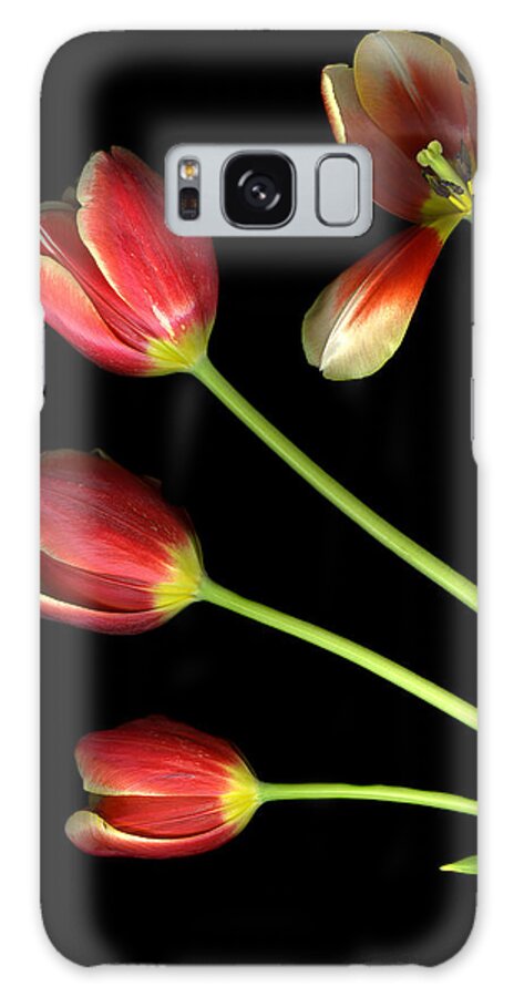 Scanography Galaxy S8 Case featuring the photograph Pot of Tulips by Christian Slanec