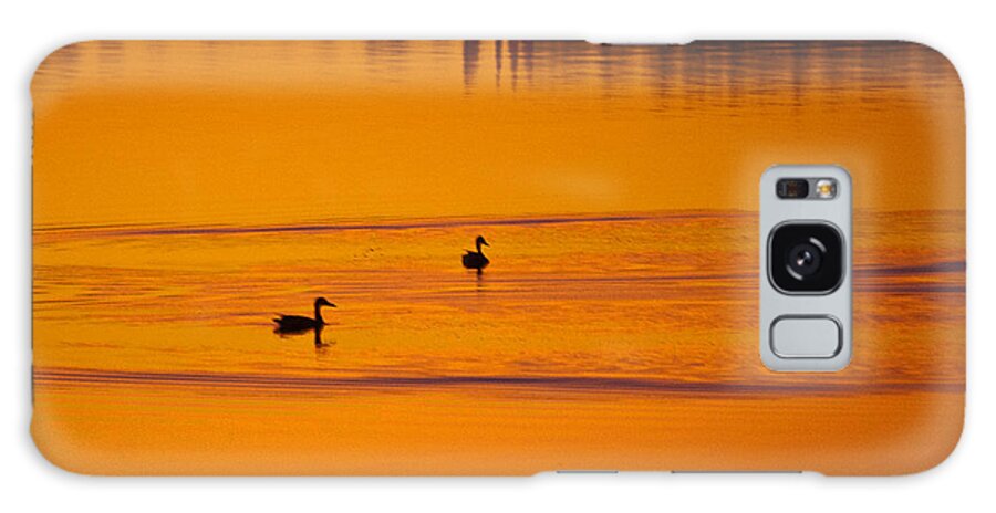 Ducks Galaxy S8 Case featuring the photograph Pre Dawn Light by Ron Roberts