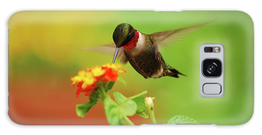 Hummingbird Galaxy Case featuring the photograph Pretty As A Picture by Lori Tambakis