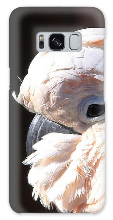 Cockatoo Head Shot Galaxy Case featuring the photograph Pretty in Pink Salmon-Crested Cockatoo Portrait by Andrea Lazar