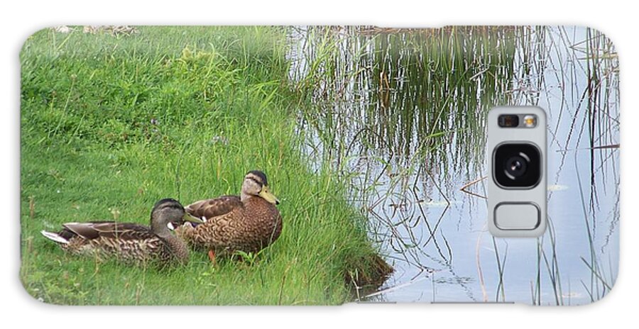 Mallards Galaxy S8 Case featuring the photograph Mated Pair of Ducks by Eunice Miller