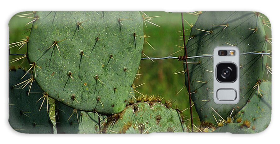 Cactus Galaxy Case featuring the photograph Prickly Pear Cactus by Peter Piatt