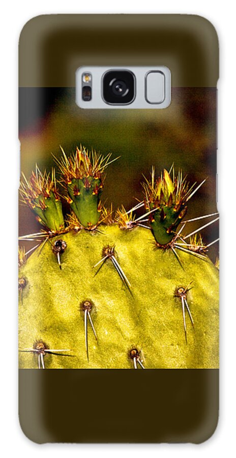 Prickly Pear Galaxy Case featuring the photograph Prickly Pear Spring by Roger Passman