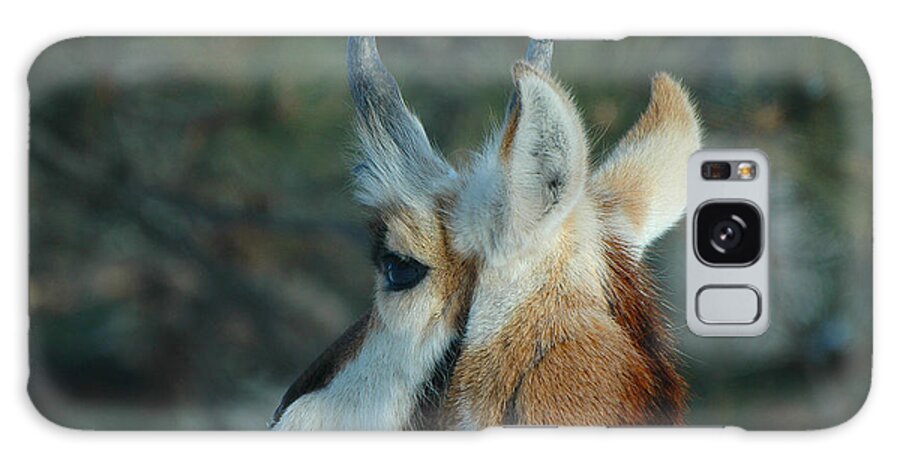 Pronghorn Galaxy Case featuring the photograph Pronghorn Profile by Joan Wallner