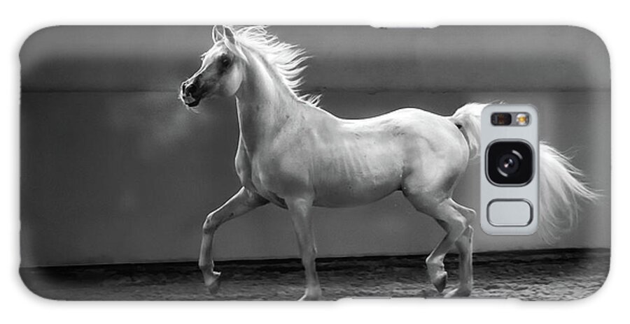 Horse Galaxy Case featuring the photograph Proud Arabian Horse - Stallion In by Kerrick
