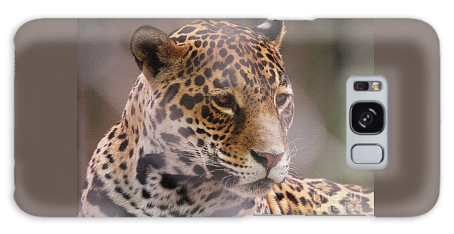 Leopards Galaxy Case featuring the photograph Out Of Africa by Geoff Crego