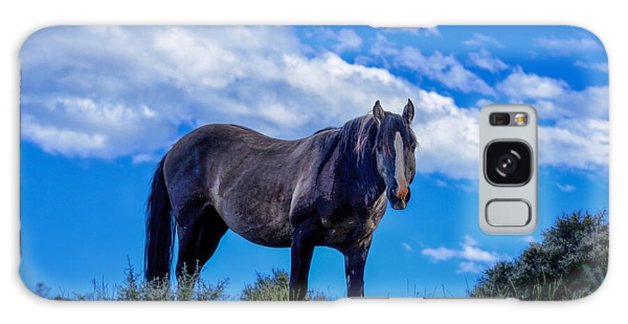 Wild Horse Galaxy S8 Case featuring the photograph Pryor Mountain Wild Horse by Greg Norrell