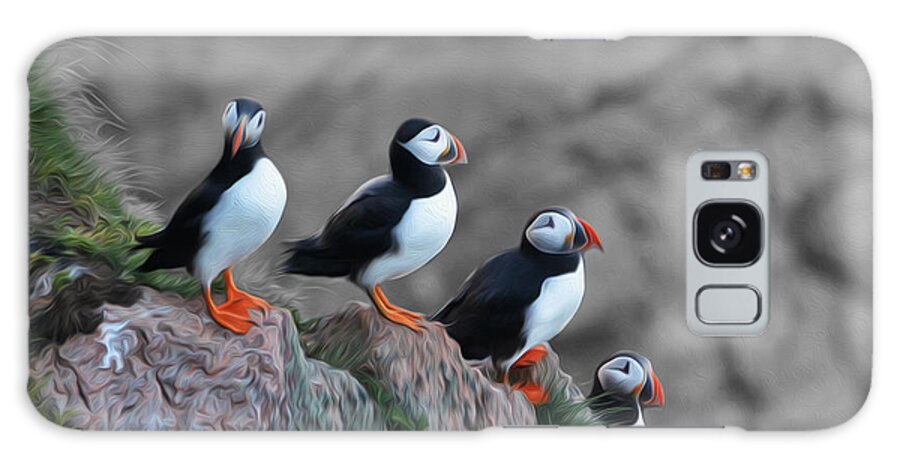 Puffin Galaxy Case featuring the photograph Puffins by Veli Bariskan