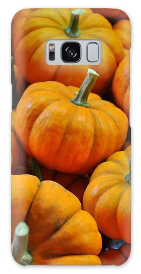 Pumpkins Galaxy S8 Case featuring the photograph Pumpkins by Jeff Cook