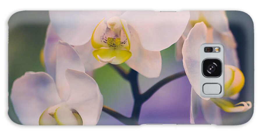 Orchids Galaxy Case featuring the photograph Pure by Sara Frank