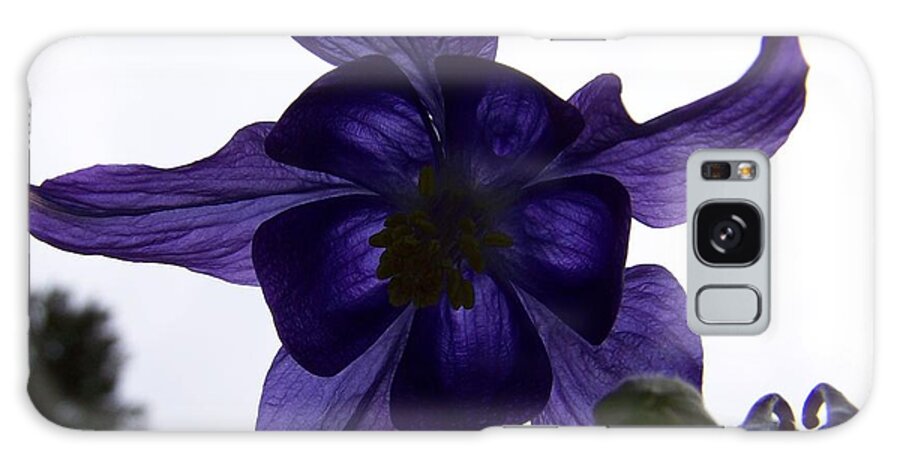 Purple Galaxy S8 Case featuring the photograph Purple Columbine by Heather L Wright