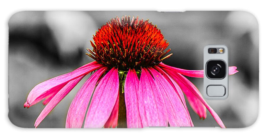 M C Story Galaxy Case featuring the photograph Purple Coneflower - SC by Mary Carol Story
