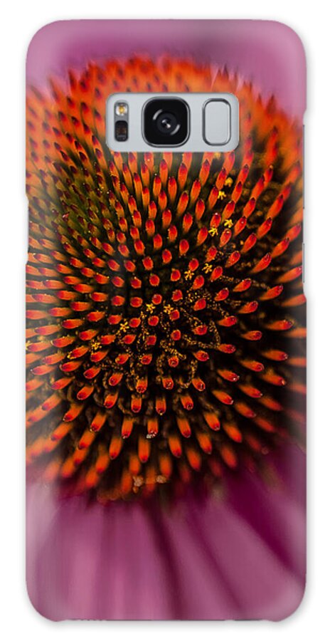 Close-up Galaxy Case featuring the photograph Purple Coneflower by David Smith