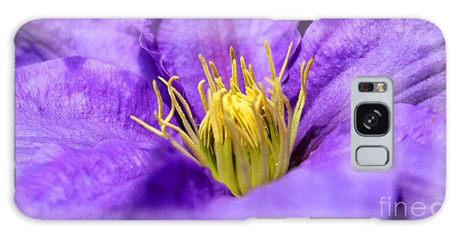 Clematis Galaxy Case featuring the photograph Purple Elegance by Judy Palkimas