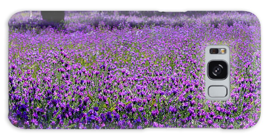 Purple Galaxy Case featuring the photograph Purple fields by Jenny Setchell